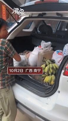 雁过拔毛 第8页