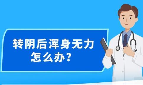 新澳精准资料免费提供网站,警惕网络陷阱，关于新澳精准资料免费提供网站的真相探讨