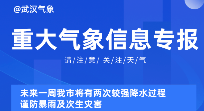 2024新奥精准正版资料,揭秘新奥精准正版资料，探索未来的关键所在