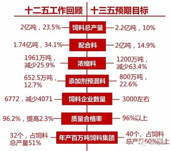 2025年1月1日 第41页