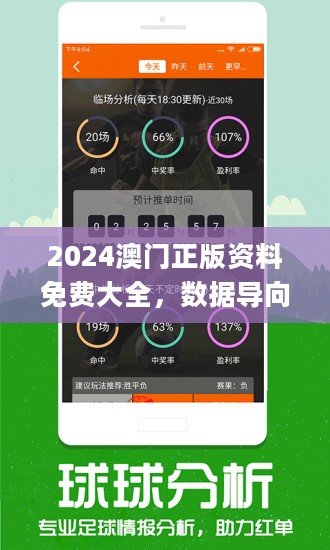 2024澳门精准正版免费大全,澳门精准正版免费大全，探索与启示