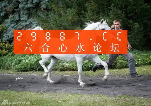 7777788888新版跑狗图,探索新版跑狗图，77777与88888的魅力交织