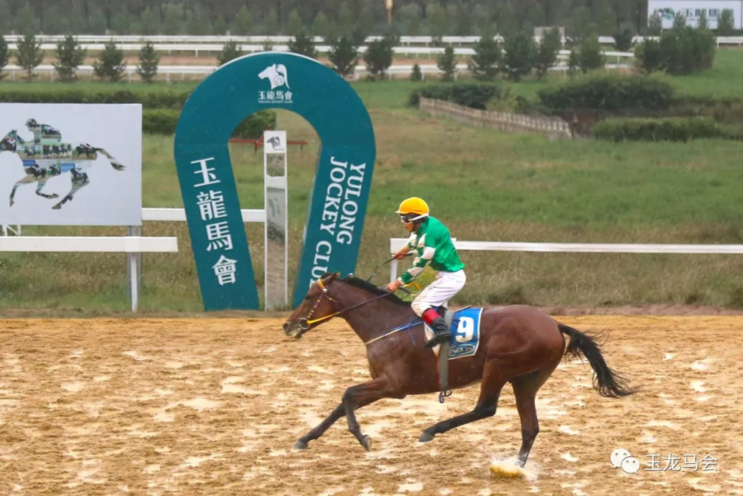 2025今晚香港开特马,今晚香港开特马，探索赛马运动的魅力与未来展望